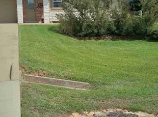 Doris T.'s turf maintenance service result
