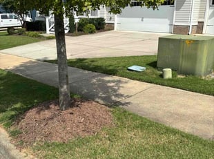 John T.'s grass maintenance service result