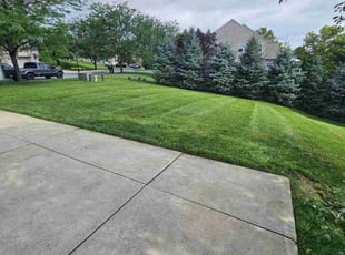 Zach R.'s grass maintenance service result