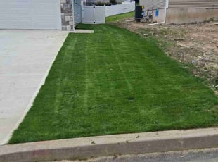 Ania S.'s lawn care service result