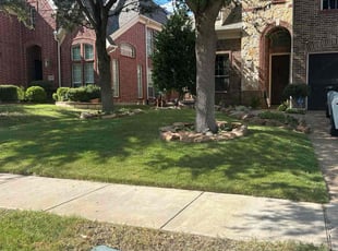 Sam E.'s grass maintenance service result