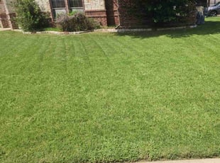 Cyndi H.'s lawn maintenance service result