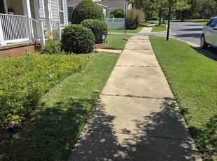 Cassandra J.'s turf care service result