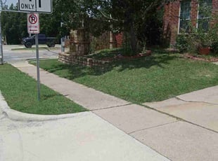 Sasha H.'s grass maintenance service result