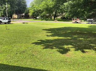 Erica J.'s lawn care services service result