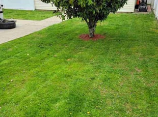 MiAh K.'s grass maintenance service result