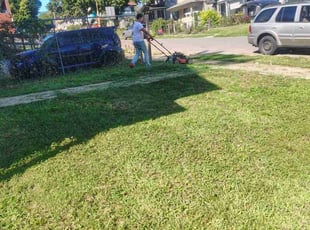 Bruce C.'s turf care service result