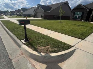 Zafar T.'s lawn care service result