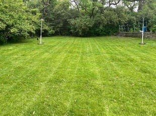 Laurie R.'s turf maintenance service result