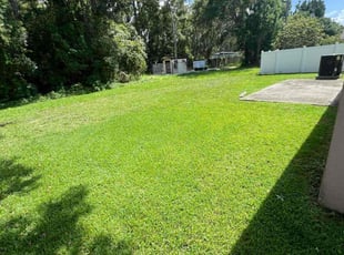 Sophia G.'s turf care service result