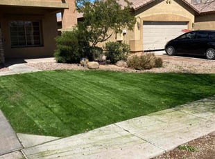 Aaron O.'s lawn care service result
