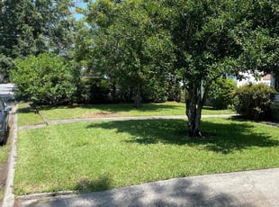 Hollie B.'s lawn care service result