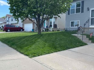 Troy G.'s grass maintenance service result