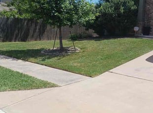 Janice B.'s lawn care services service result