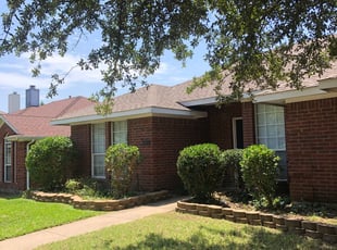 Sandra B.'s Bush Trimming service result