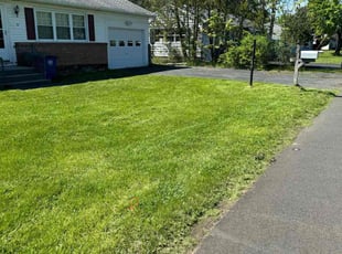 Laura D.'s lawn service service result