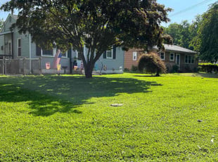 Albert F.'s lawn care services service result