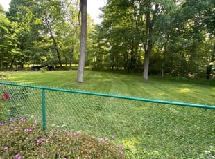 Evelyn R.'s lawn care service result