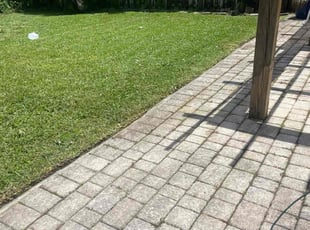 William M.'s lawn care services service result