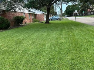 Chelsie P.'s lawn maintenance service result