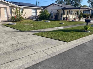 Tramaine R.'s lawn care services service result