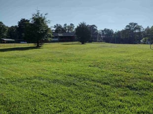 Denetra F.'s lawn service service result