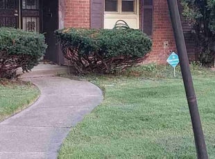 Carol D.'s lawn care service result