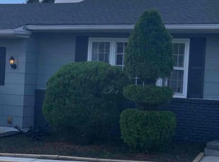 Mike M.'s Bush Trimming service result