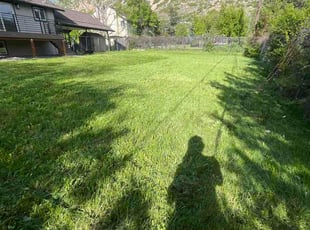 Freddy C.'s lawn care services service result