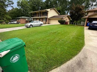 Anthony L.'s lawn care service result