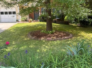 Nina R.'s turf maintenance service result