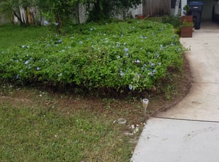 Keith J.'s Bush Trimming service result
