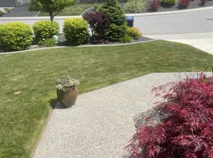 Sandra N.'s turf maintenance service result
