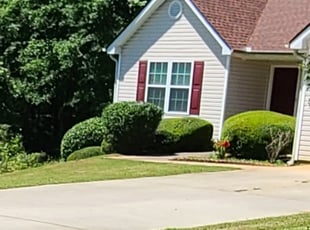 Lajeanne P.'s Bush Trimming service result