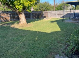 Steward M.'s lawn care service result