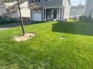 Jean S.'s grass maintenance service result