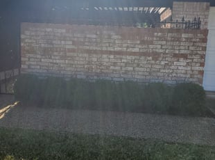 Ebony M.'s Bush Trimming service result