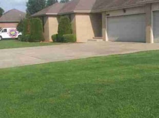 Laurel M.'s turf care service result