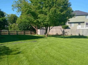 Jesse R.'s lawn maintenance service result