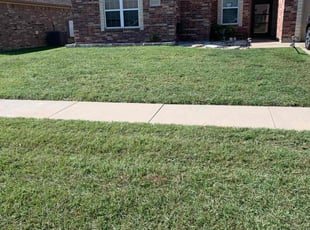 Boris F.'s grass cutting service result