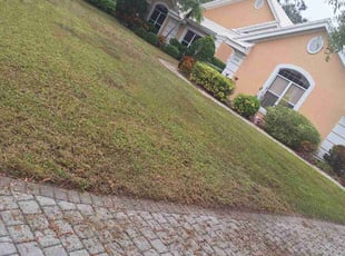 Rahsaam R.'s turf maintenance service result