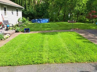 Tanaha B.'s lawn care services service result