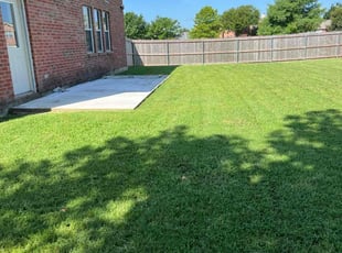 Anne B.'s lawn service service result