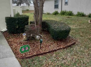 Calvin W.'s Bush Trimming service result