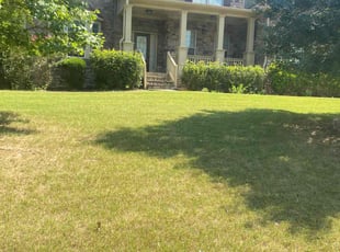 Christina M.'s lawn care service result