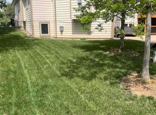 Diane T.'s turf care service result