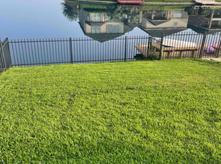 Jorge H.'s lawn maintenance service result