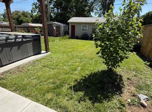 Larry C.'s yard care service result