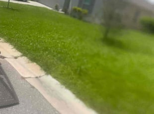 Nilgun F.'s lawn service service result