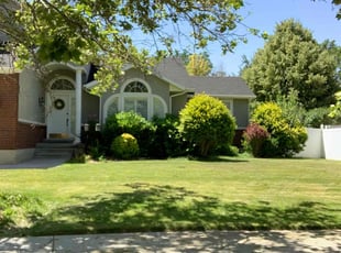 Brandy Z.'s lawn maintenance service result